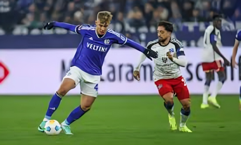 Schalke gegen HSV